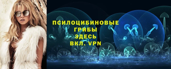 соль ск Алексеевка