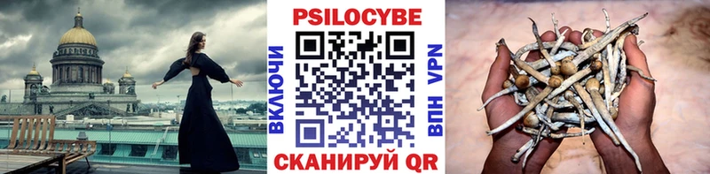 блэк спрут tor  Наволоки  Галлюциногенные грибы ЛСД  закладки 